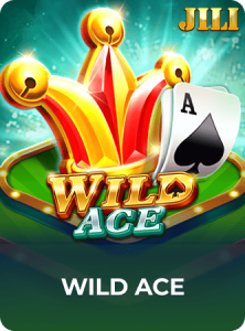 Wild Ace插图1