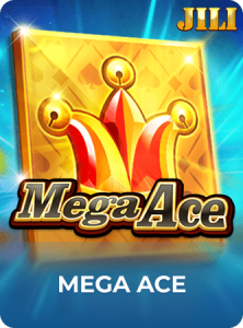 Mega Ace插图1