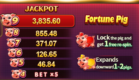 Fortune Pig